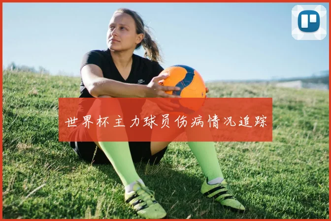 世界杯主力球员伤病情况追踪