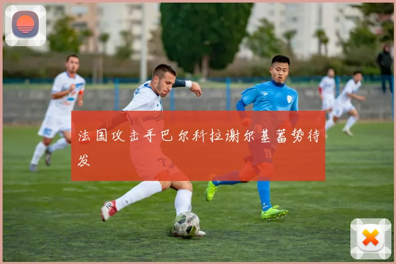 法国攻击手巴尔科拉谢尔基蓄势待发