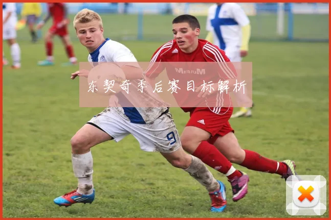 东契奇季后赛目标解析